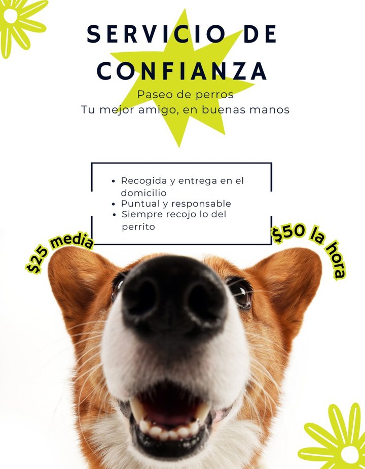 Flyer de servicio de paseo de perros